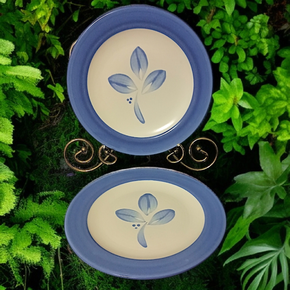 2 Pfaltzgraff Villa Flora Plates Bread Dessert Side Salad Floral‎ Vtg 90s Mexico
